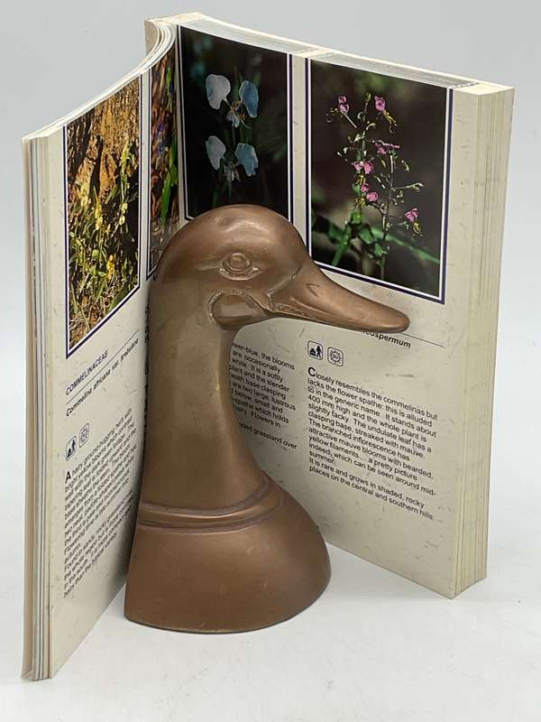 Sappi Wild flower guide: Mpumalanga & Northern Province - Jo Onderstall | 1996