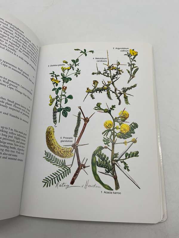 Karoo - South African Wild Flower Guide 6 - David Shearing |  Botanical Society 2008
