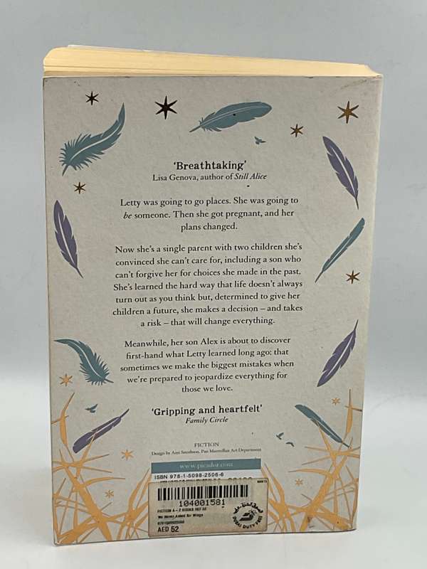 We Never Asked for Wings by Vanessa Diffenbaugh