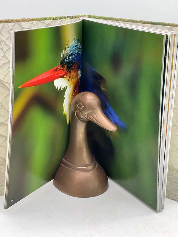 The Essential Africa - Michael Poliza | 184 Pages of Wonderful African Photographs