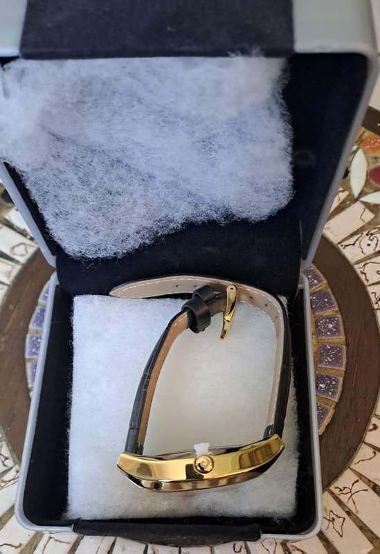 Pierre Cardin Watch