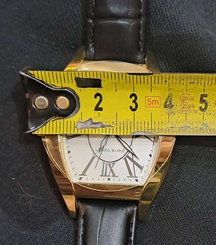Pierre Cardin Watch