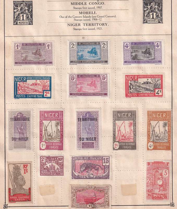 France and colonies on 14 pages , M/H and used       (note stamps adherence to pages)