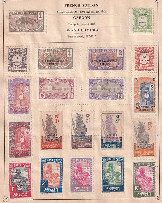 France and colonies on 14 pages , M/H and used       (note stamps adherence to pages)