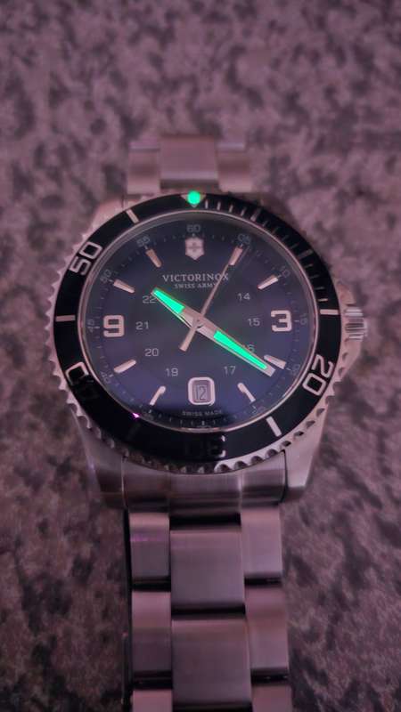 Victorinox Maverick (Swiss Army) VIC242007 Men's Watch 43mm (241602)