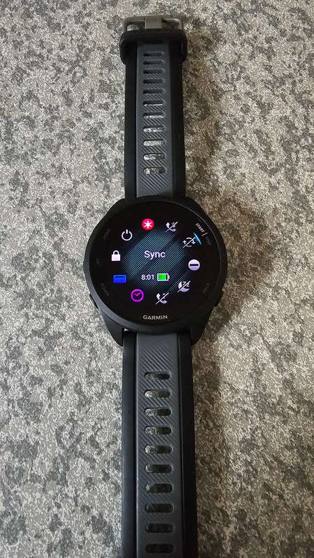 Garmin Forerunner 165 GPS Smartwatch (43mm) Music Edition
