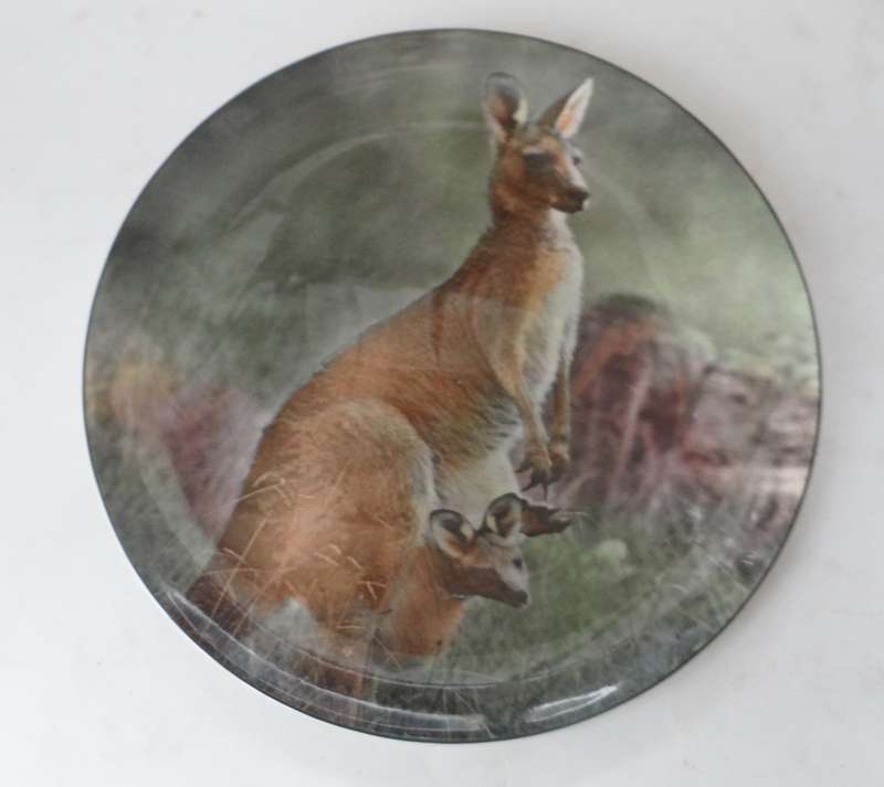 ROYAL DOULTON CABINET / DISPLAY PLATE ' MOTHER KANGAROO WITH JOEY  ' design No. D6426