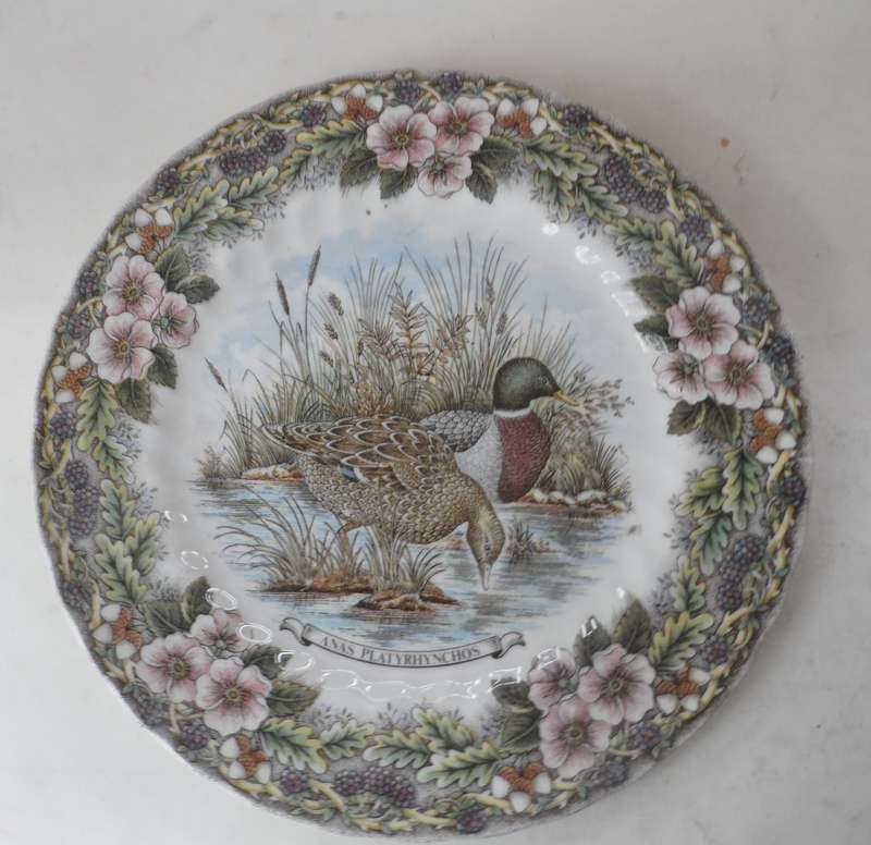 CHURCHILL WILDLIFE SERIES ,CABINET / DISPLAY PLATE  ' ANUS PLATYRHNCHOS ' HERITAGE MINT COLLECTIBLE
