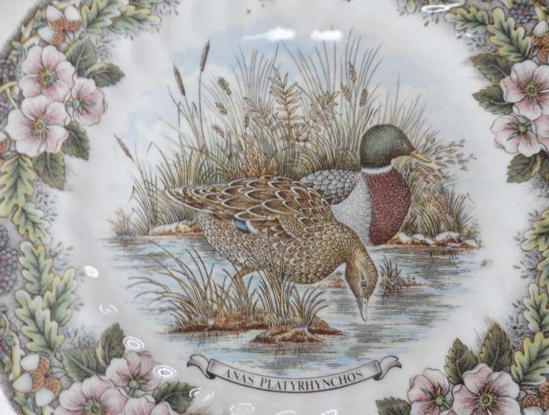 CHURCHILL WILDLIFE SERIES ,CABINET / DISPLAY PLATE  ' ANUS PLATYRHNCHOS ' HERITAGE MINT COLLECTIBLE