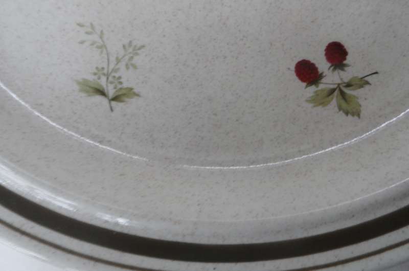 ROYAL DOULTON TABLE WARE ,   LAMBETH WARE   PLATE ' CORNWALL ' LS1015