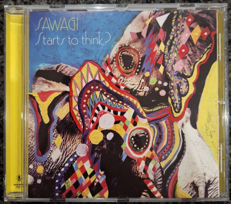Sawagi - Starts To Think?