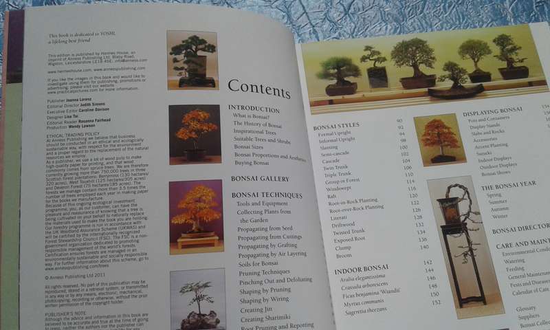 "Growing Bonsai"  Soft cover.