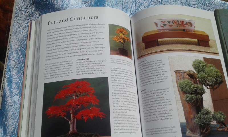 "Growing Bonsai"  Soft cover.