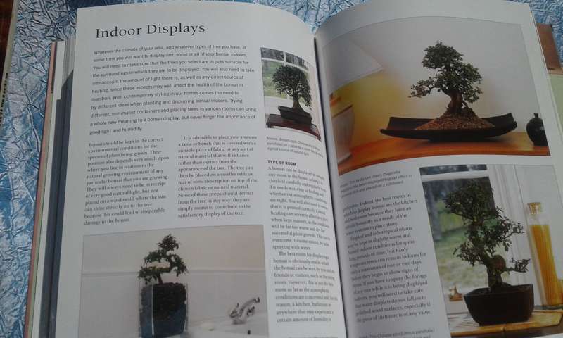 "Growing Bonsai"  Soft cover.