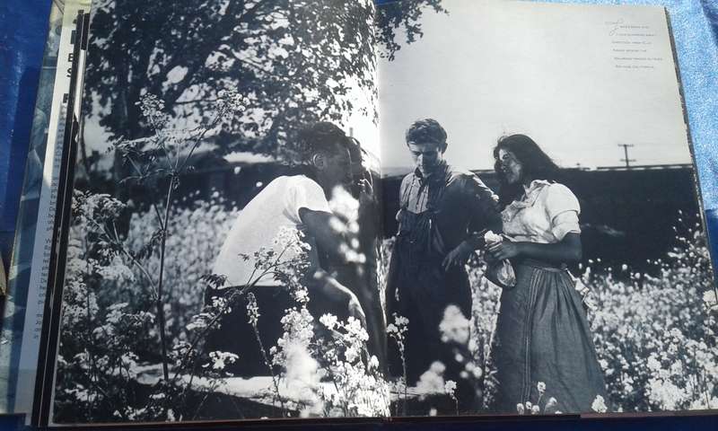 "James  Dean behind the scene.   Hard cover.