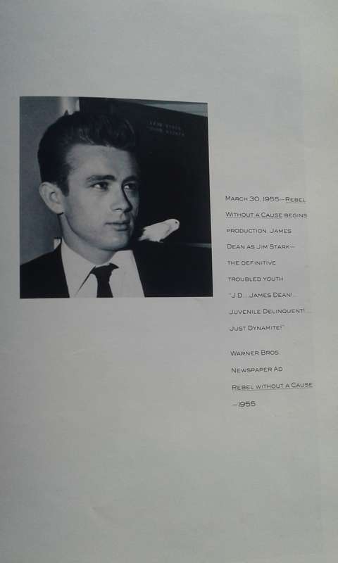 "James  Dean behind the scene.   Hard cover.