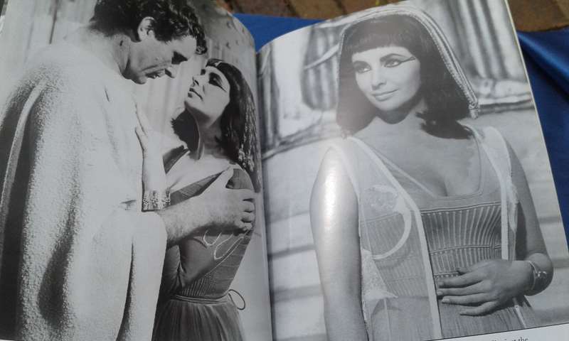 "Elizabeth Taylor" Soft cover.
