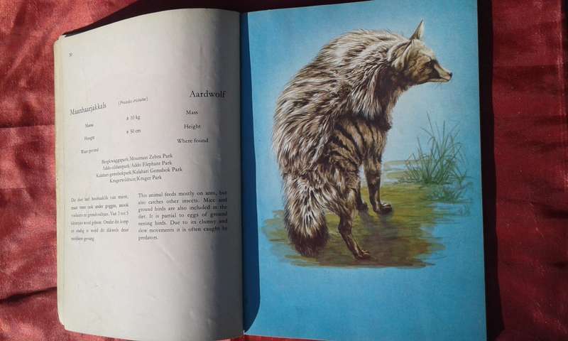 "Soogdiere van die Krugerwildtuin en ander/Mammals of the Kruger and other National Parks.