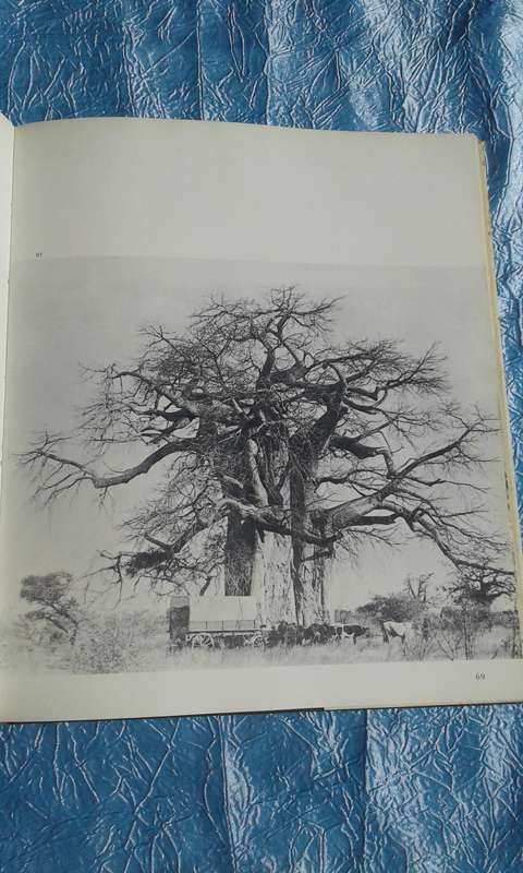 "Transvaal Epic"  Paul Tingay and Joy Johnson.  Hard cover.