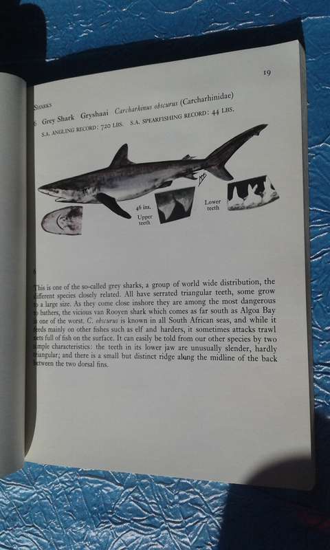 1966  `Fishes of the Tsitsikama Coastal National Park`Prof. J.L.R. Smith.   Soft cover.
