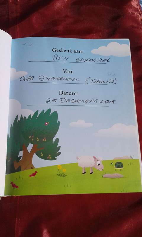 "Die Bybel App vir Kinders"  Hard cover.