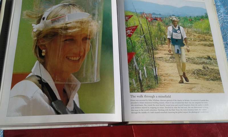 "Diana"  Unseen Archives.  Hard cover.
