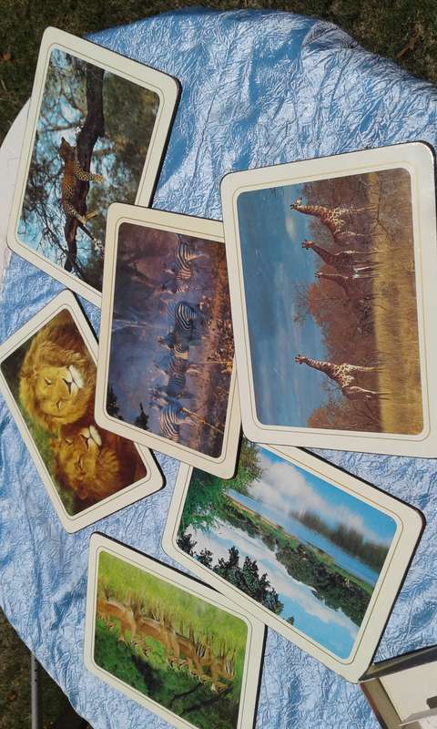 Kruger National Park Placemats.  Condition :  Very good.