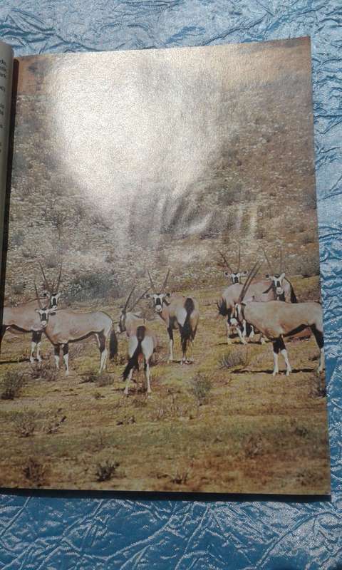 1988.  `Mammals of the Kruger National Park"  Soft cover.