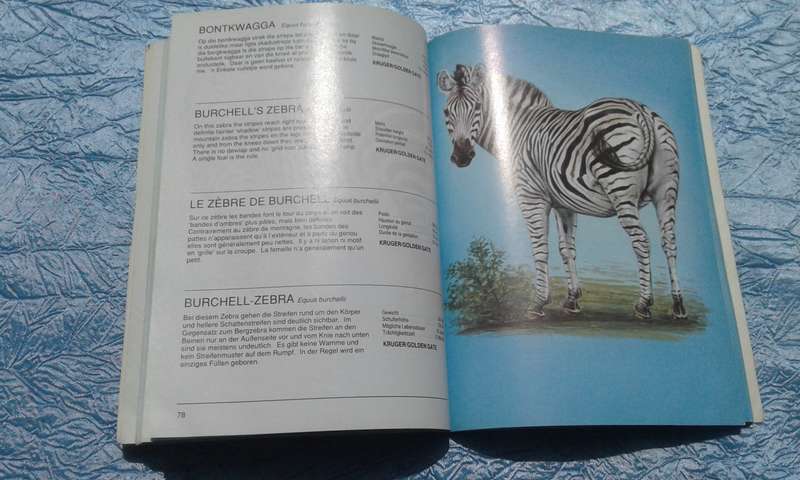 1988.  `Mammals of the Kruger National Park"  Soft cover.