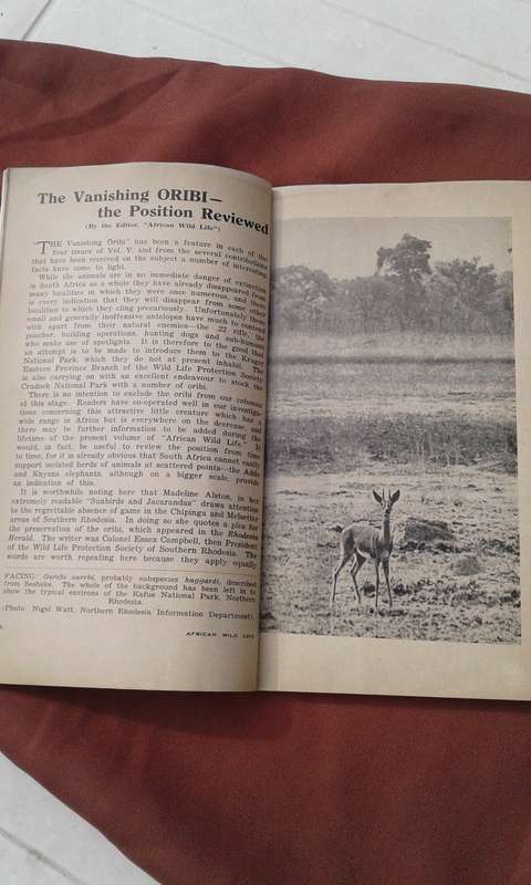 "African Wild Life" Volume 6.  No. 1.   Soft cover.