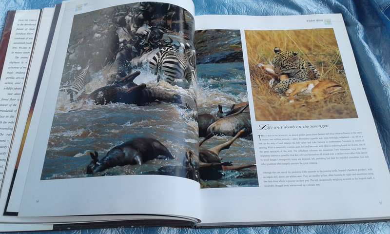 `Wildest Africa`  Paul Tingay.  Hard cover.