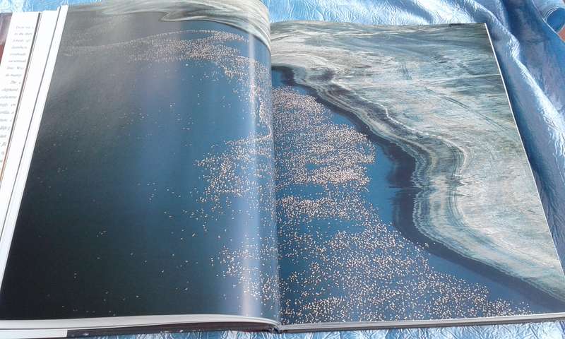 `Wildest Africa`  Paul Tingay.  Hard cover.