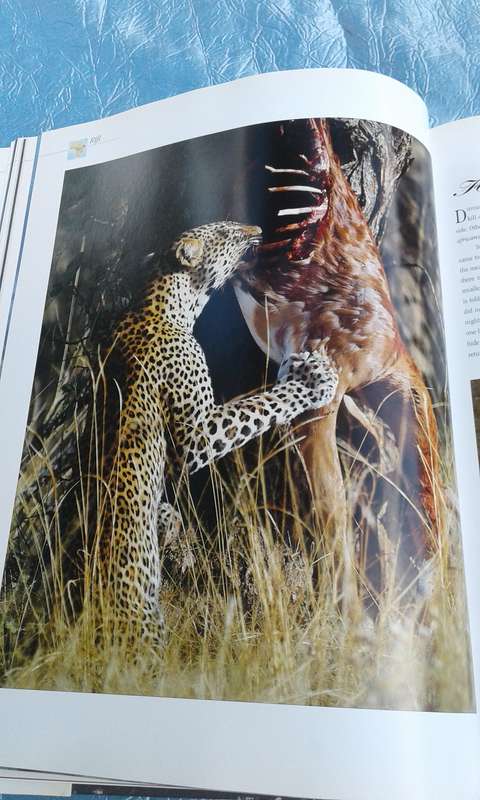 `Wildest Africa`  Paul Tingay.  Hard cover.