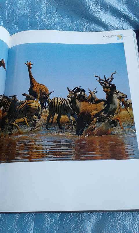 `Wildest Africa`  Paul Tingay.  Hard cover.