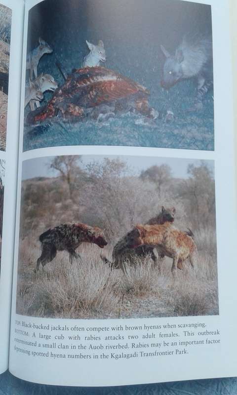 "Hyena Nights & Kalahari Days.  Soft cover.