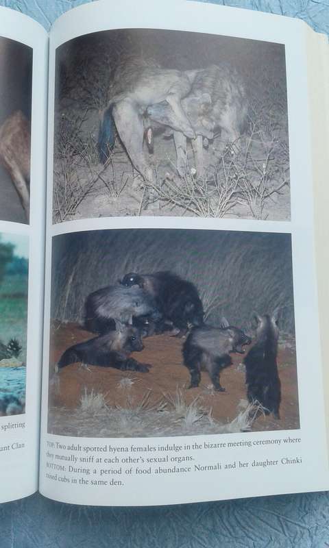 "Hyena Nights & Kalahari Days.  Soft cover.
