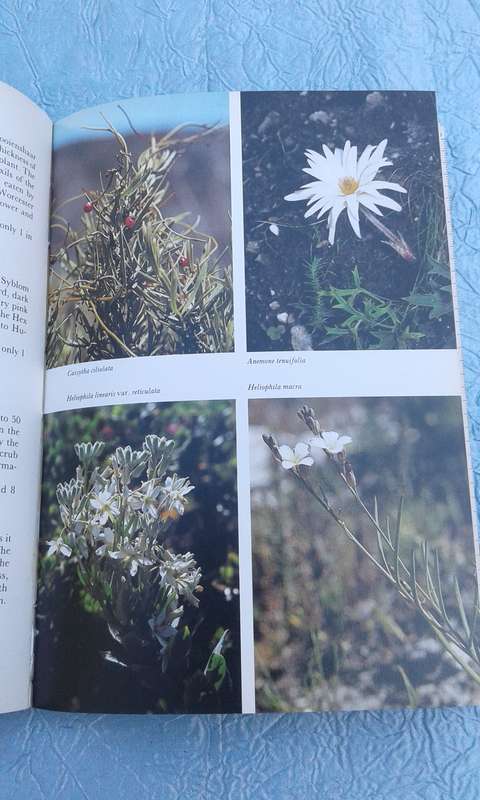"Hottentos Holland to Hermanus"  South African Wildflower Guide.  Soft cover.