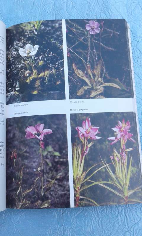 "Hottentos Holland to Hermanus"  South African Wildflower Guide.  Soft cover.