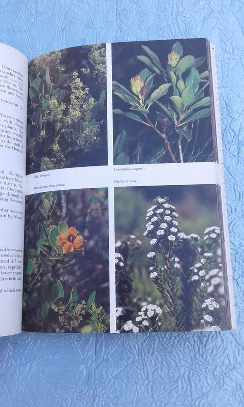 "Hottentos Holland to Hermanus"  South African Wildflower Guide.  Soft cover.