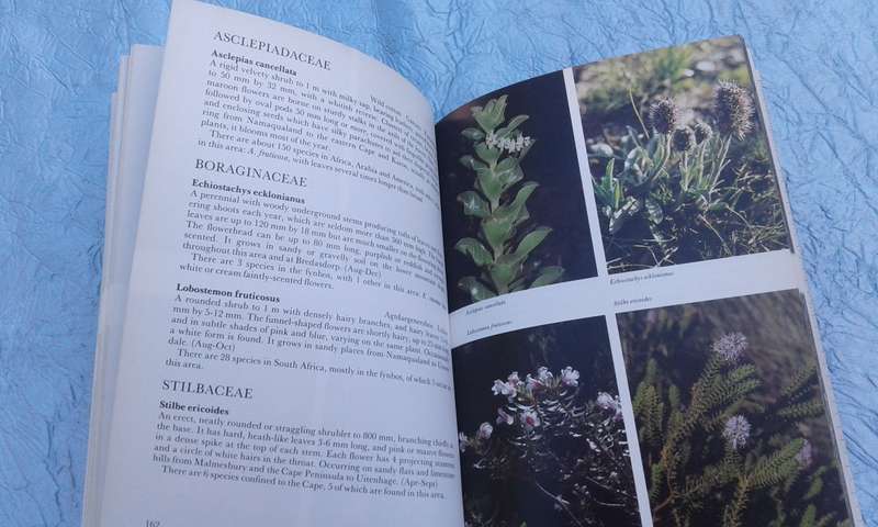 "Hottentos Holland to Hermanus"  South African Wildflower Guide.  Soft cover.