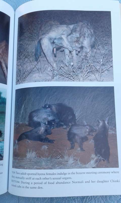 "Hyena Nights & Kalahari Days.  Soft cover.