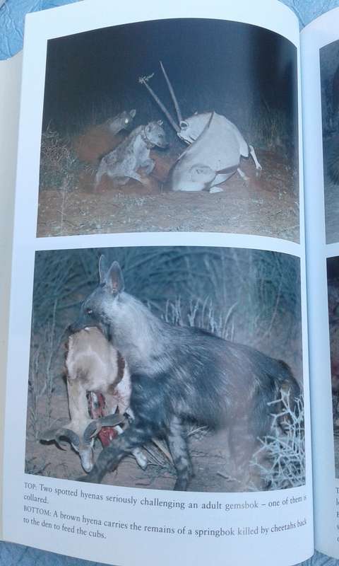 "Hyena Nights & Kalahari Days.  Soft cover.