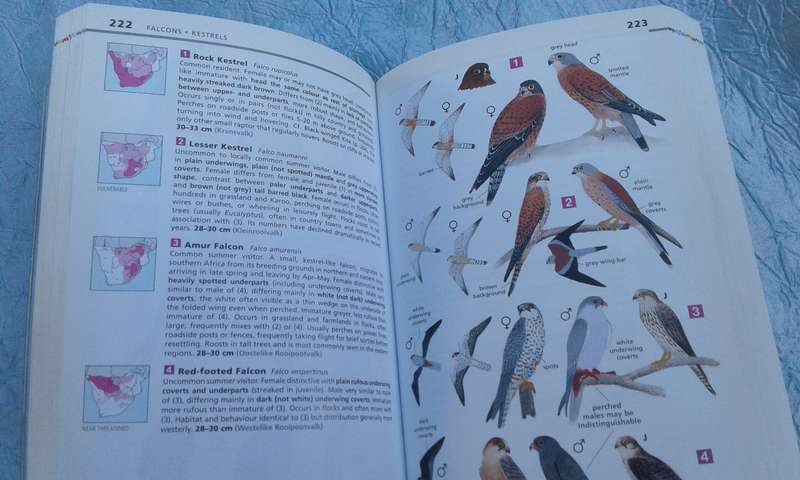 "Newman's Birds.  Commemorative Edition.  Soft cover.