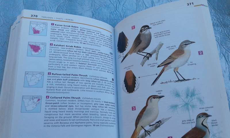 "Newman's Birds.  Commemorative Edition.  Soft cover.