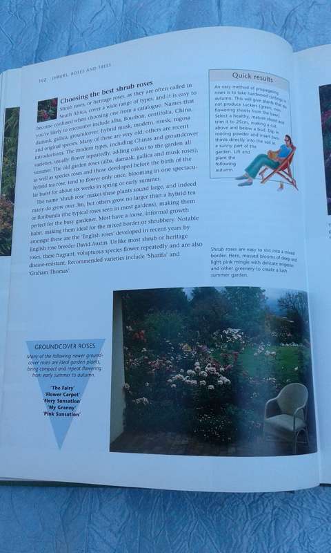 `Short Cuts to Great Gardens"  Reader's Digest.  Hard cover.