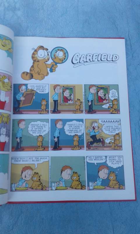 "The Garfield Super Selection"   Hard cover.