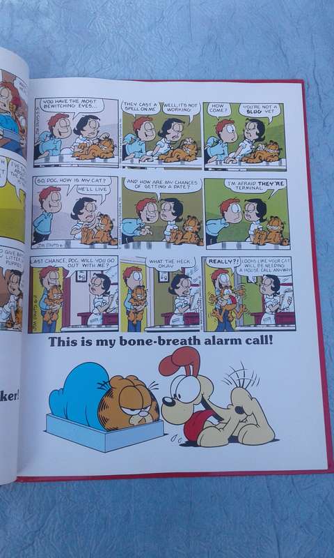 "The Garfield Super Selection"   Hard cover.