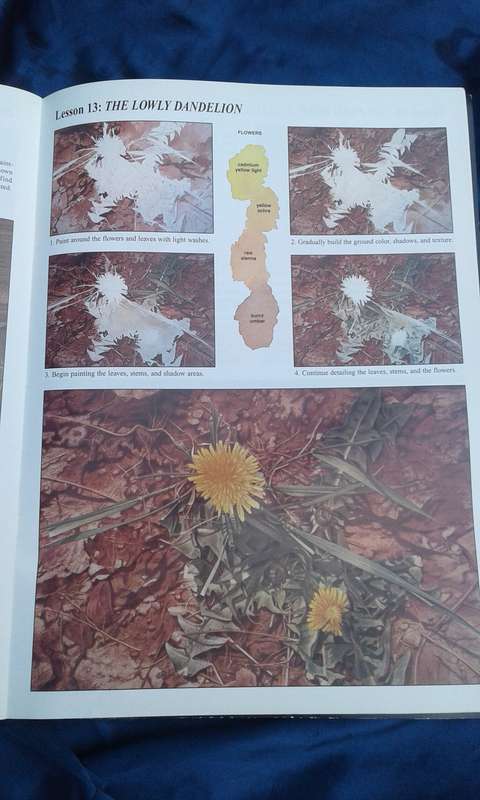 "Rural Scenes Landscapes"   Soft cover.