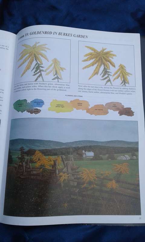 "Rural Scenes Landscapes"   Soft cover.