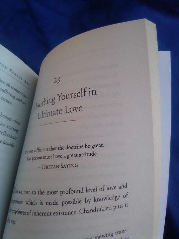 "How to see yourself as you really are"  Dali Lamai.  Soft cover.